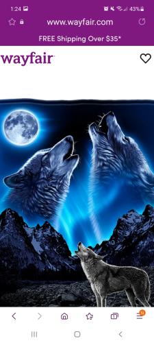 Screenshot_20210914-132428_Samsung Internet