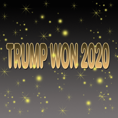 TrumpWon-2020SaveMakeGif2
