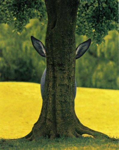 you can't see me