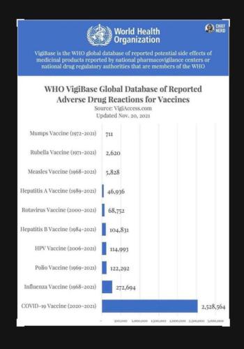 WHO Vax Reaction Stats