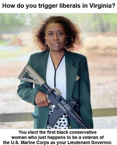 How do you trigger liberals in Virginia