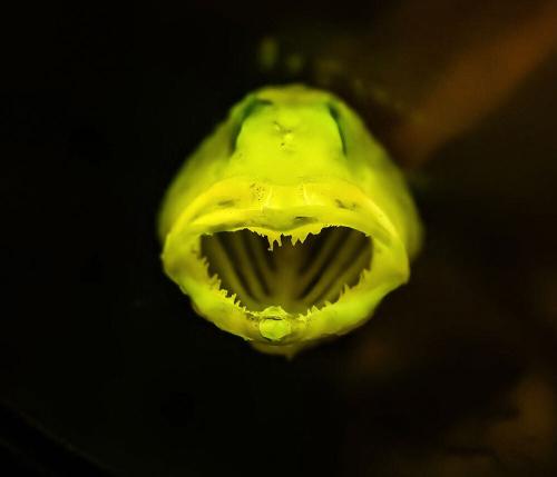 26DF03CB-99E1-4139-8222-94A3C38F0045