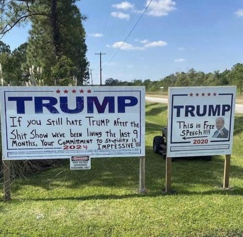 This shit show Trump