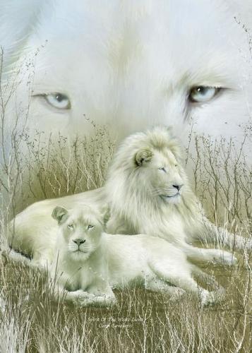 62b3d5892b1329929074595dfdabea6b