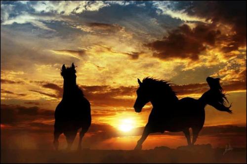 sunset