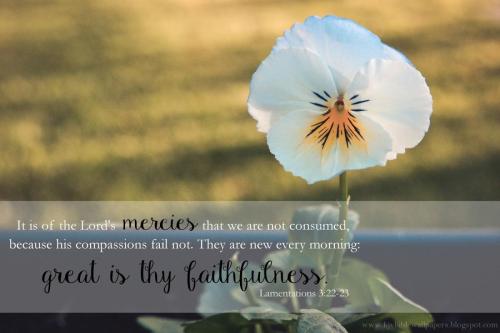 Lamentations 3 33-23