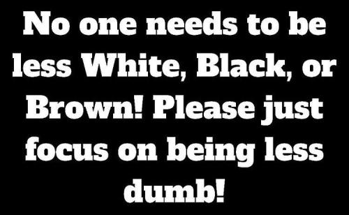 wisdom 1 less dumb