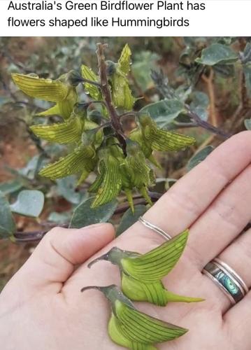 A1019E49-D715-45AC-ACFC-FF640FE5A87E