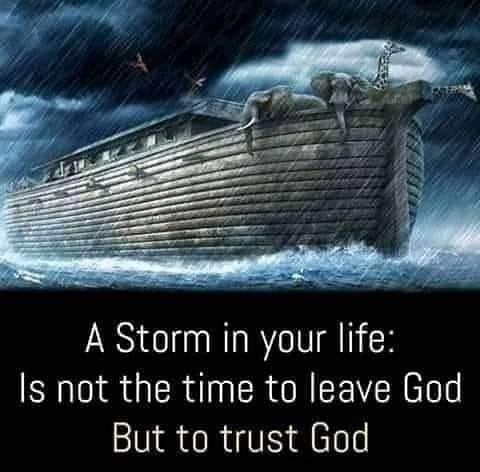 256104270_4448921525228625_4873879819338895804_n