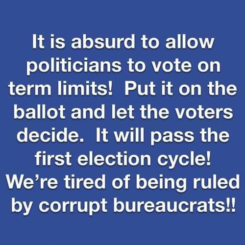R term limits