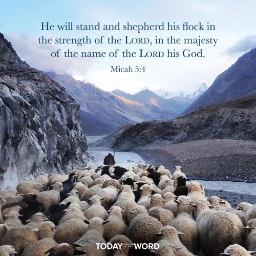 90302BC1-4FF4-4363-B780-884065298F92