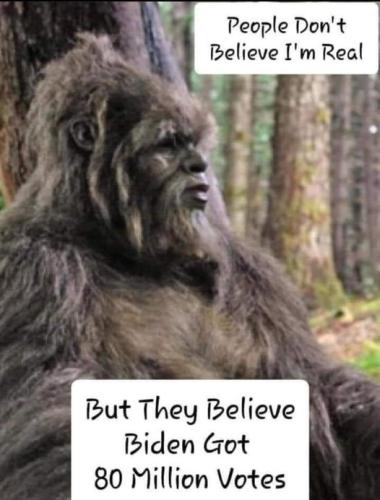 bigfoot votes