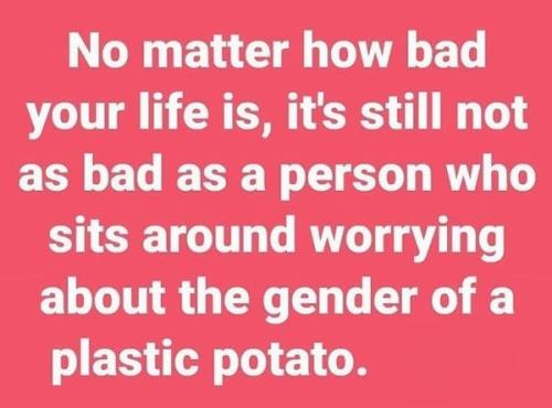 Potato