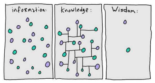 InfoKnowledgeWisdon1