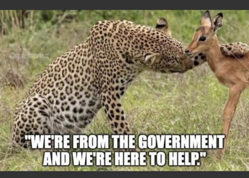 9792AA05-8B9A-4E39-8B66-316EF5F62055