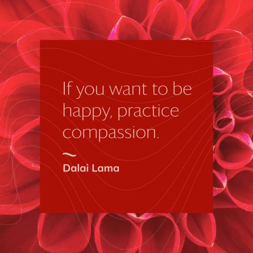 5DD86B04-BF08-4316-A455-7A9680484D35