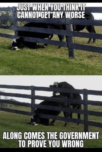 33324C96-B3E3-4E16-A3C9-77FC3CEC13A7