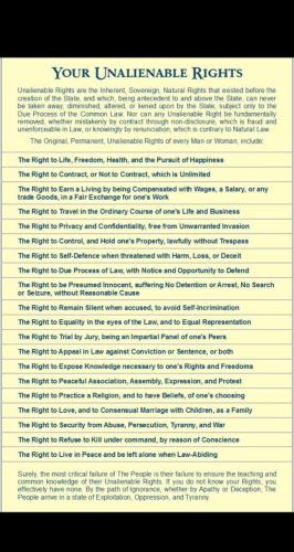 143233BF-845D-4297-BEDE-11141925B48D