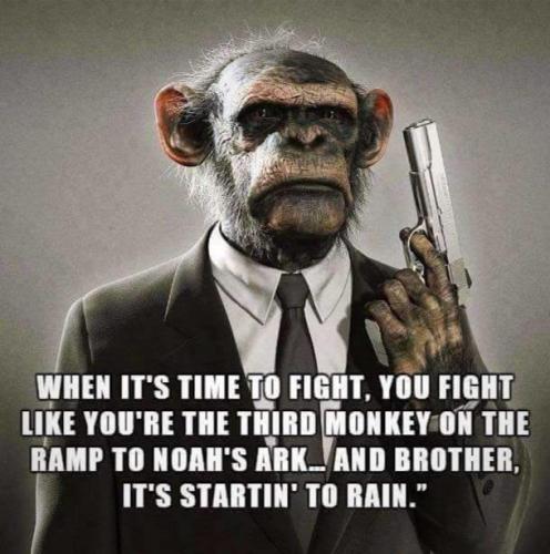 100038700314_107310