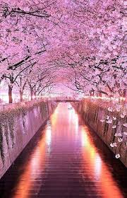 179AA98D-2D9B-4D28-9A77-7BA83F493435