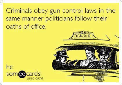 gun control laws