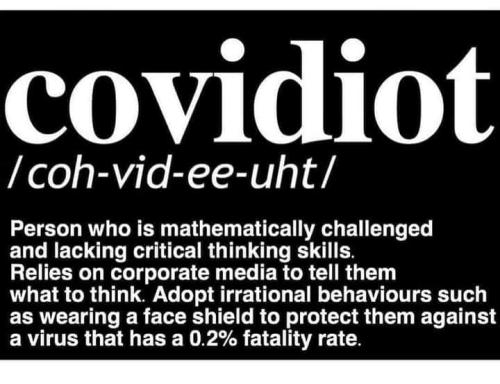 116874818_3380957685290038_1074511057502379913_n