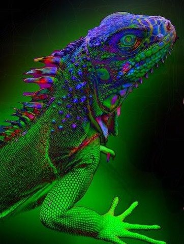 lectric lizard - Copy
