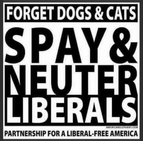 M spay
