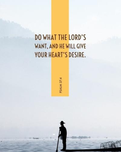 IMG_20211113_141141_312