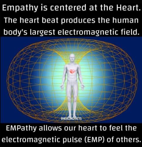 IMG_20211119_002728_330