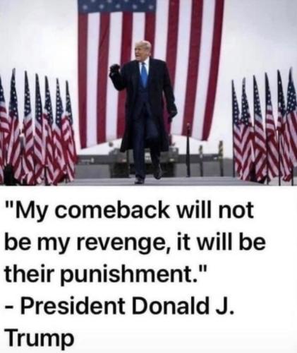 image_1636236948.501