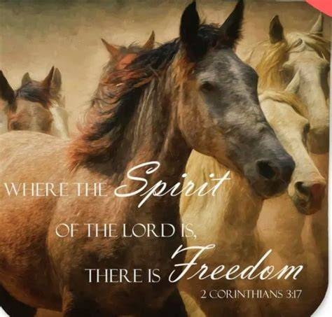 1c14862e-2cf2-4eaa-95e9-e346bd497faa