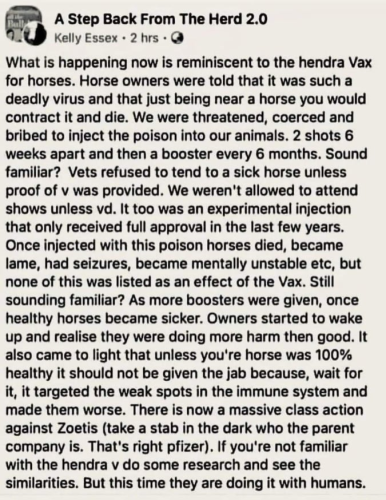 A STEP BACK FROM THE HERD