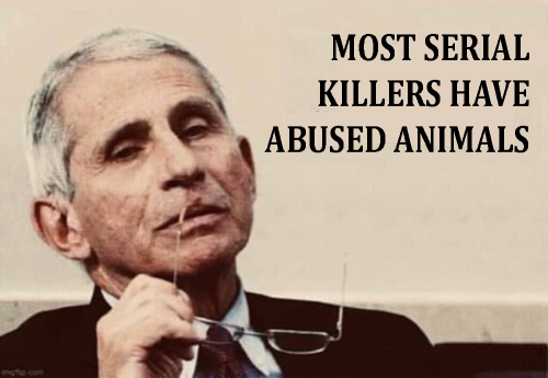 M serial killer