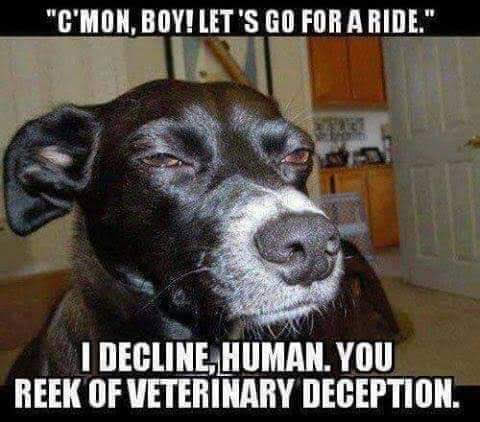 FB_IMG_1560311263724
