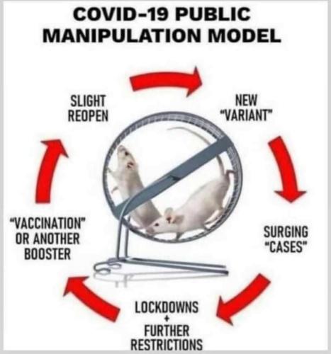 IMG_20211206_181453_549