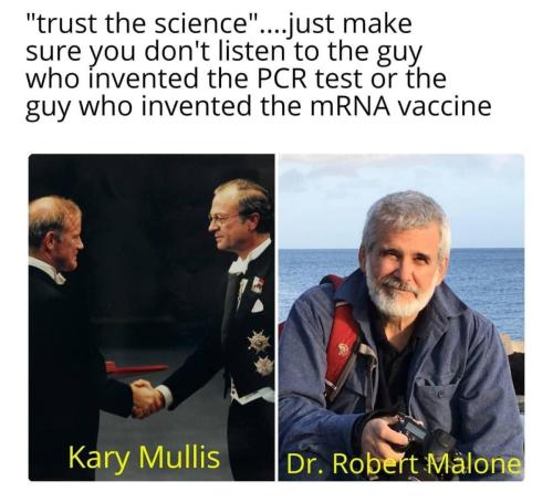 sngine_0abf86dd2c0b0d783d926bf4dedc734d