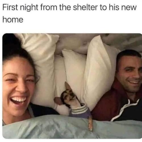 1EB7A1C7-F91D-40BC-817F-EEF1049BA7B2