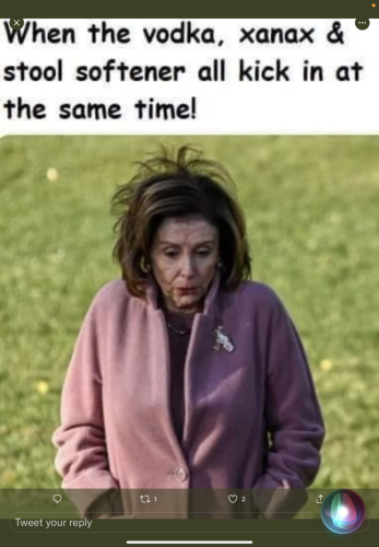 Nancy Pelosi 79 - x hoocker