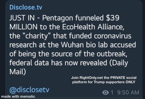 b23e03bd52fc3053744517b570db3c95_500x0