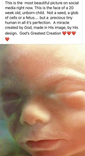 God'sPerfectCreation