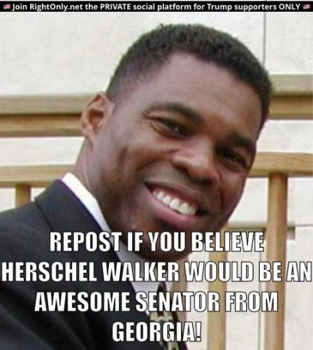 57890f8ad89945eab0b09acc80fddcc8_500x0