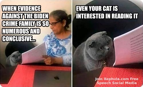 biden your cat