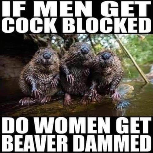 260167925_4739117989443949_6311549067955641297_n