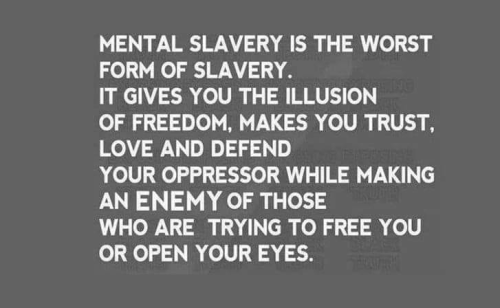 img - 2021-12-11T104235.303