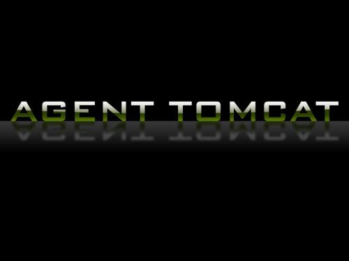 agenttomcat-reflectblack (1)