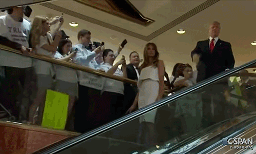 47C44347-3EFA-4D9B-81AF-5E90F18803F6