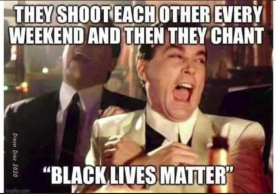 They shoot eachother daily but BLM