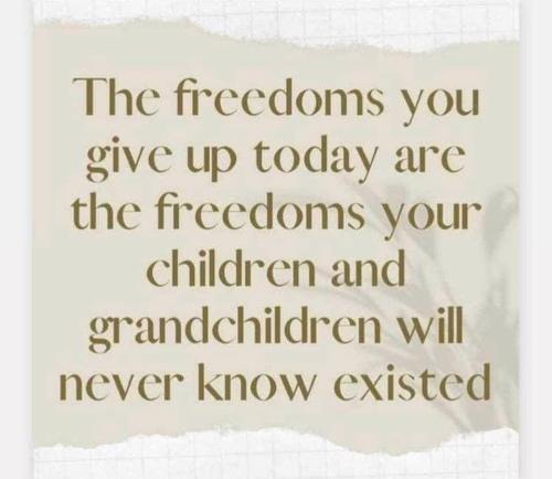 FreedomsLost1