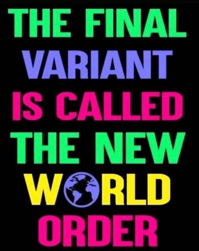 IMG_20211221_123101_133